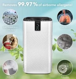 Trotec-Design-Luftreiniger AirgoClean 250E + 2 Gratis Carbon-HEPA-Filtrr 3 In 1